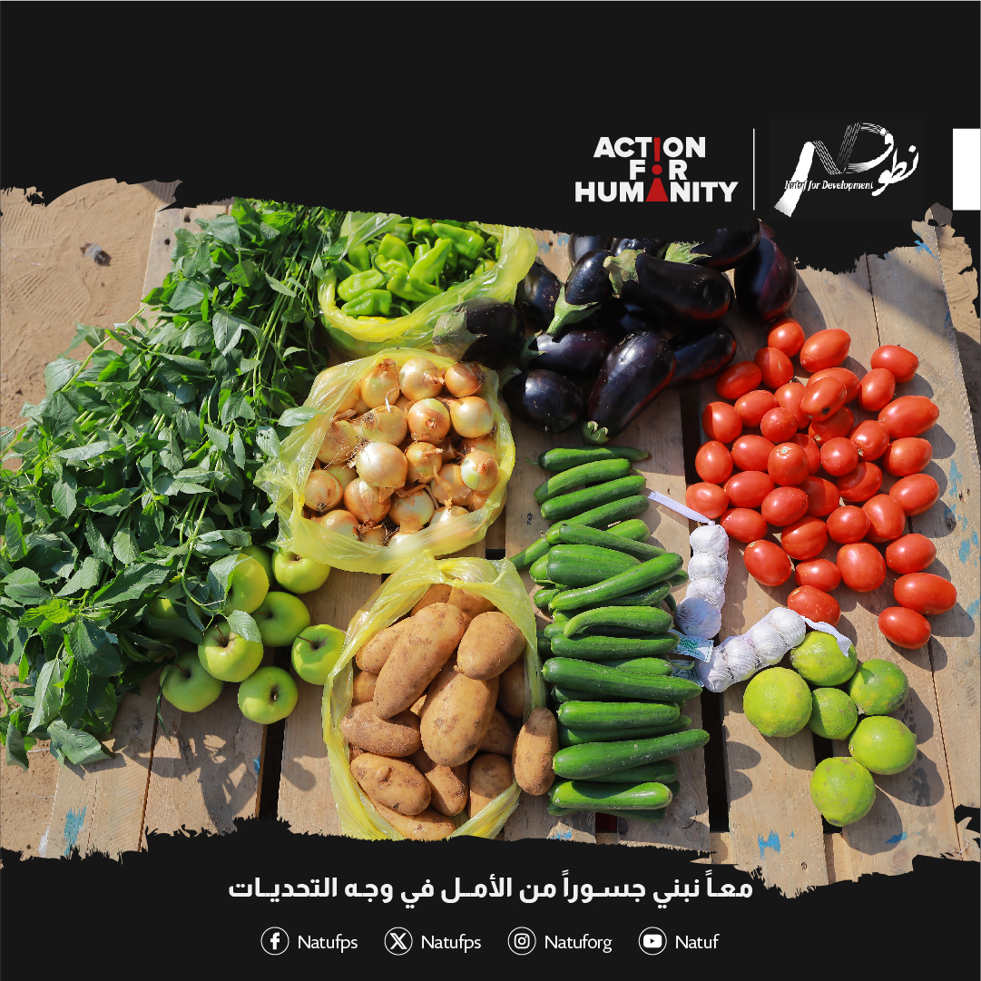 فريق نطوف بتوزيع سلال الخضار على ما يقارب 600 من العائلات النازحة